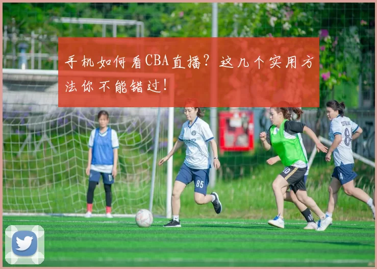 手机如何看CBA直播？这几个实用方法你不能错过！
