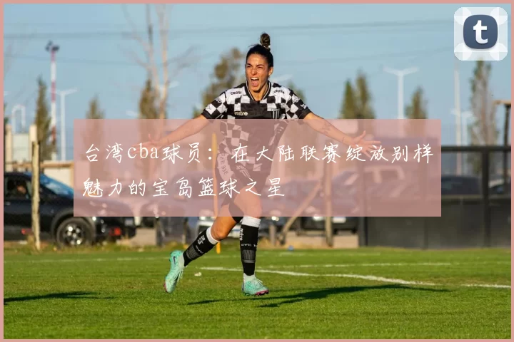 台湾cba球员：在大陆联赛绽放别样魅力的宝岛篮球之星