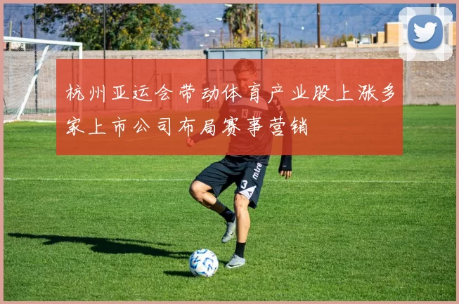 杭州亚运会带动体育产业股上涨多家上市公司布局赛事营销