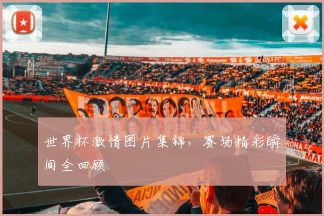 世界杯激情图片集锦，赛场精彩瞬间全回顾