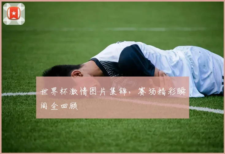 世界杯激情图片集锦，赛场精彩瞬间全回顾